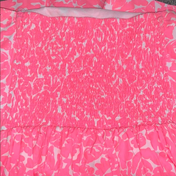 Lilly Pulitzer Dress - Picture 3 of 4